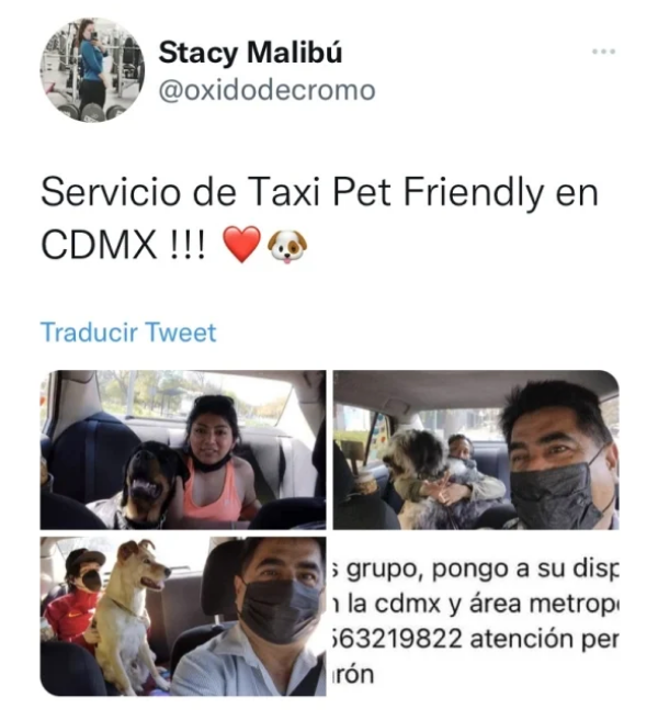 Taxista de perros de la CDMX se vuelve viral 1 Captura de Pantalla 2022 07 30 a las 10.32.47