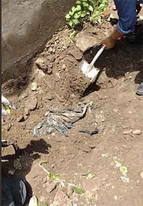 Hallan 5 cuerpos en fosas ilegales en Irapuato 1 FOSAS 2