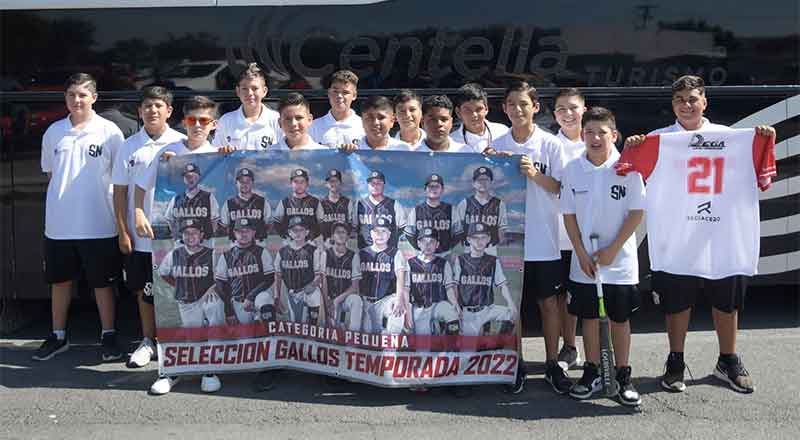 GALLOS