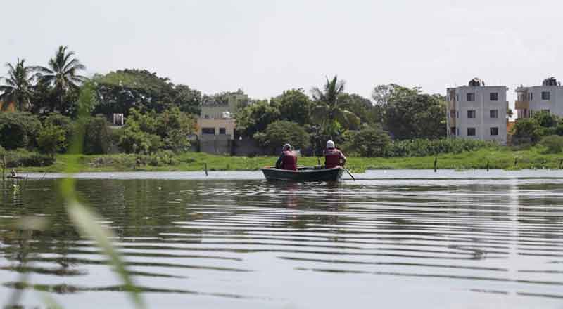 En Madero embellecen las zonas verdes de lagunas 1 MADERO 15