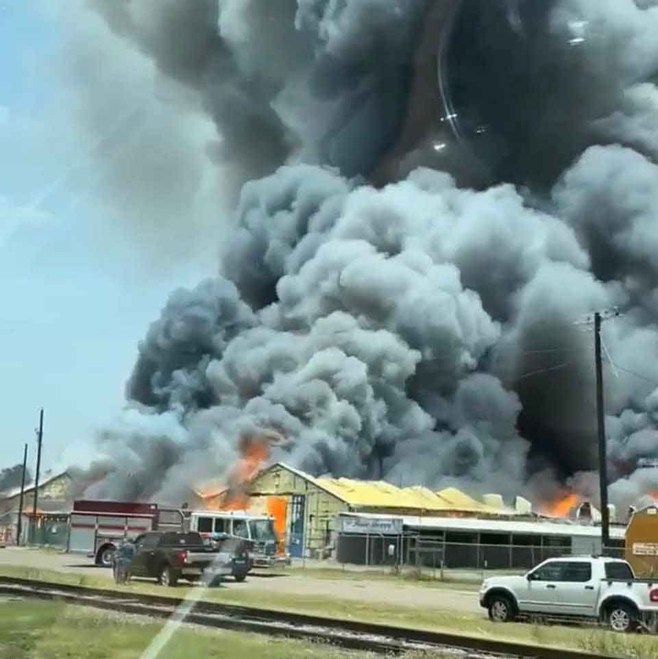 Consumen grandes llamas la pulga de Donna, Texas 3 PULGA 3