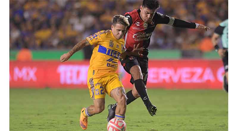 TIGRES