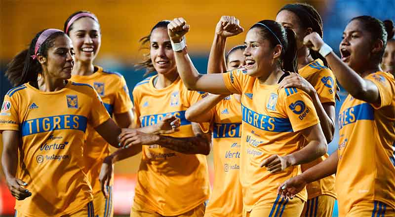 TIGRES-FEM