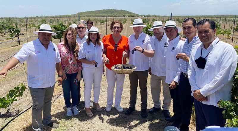 Celebra la UANL Vendimia 2022 3 VENDIMIA UANL 2
