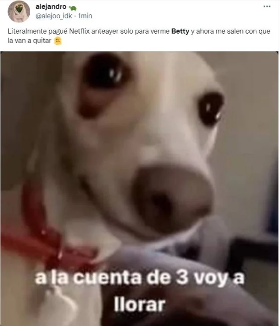 No saquen a 'Betty, la fea' de Netflix; piden con memes 5
