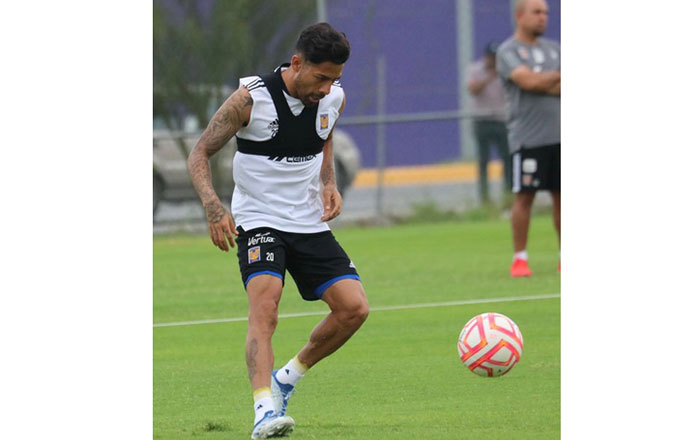 Tigres a darle vuelta a la página 3 ch