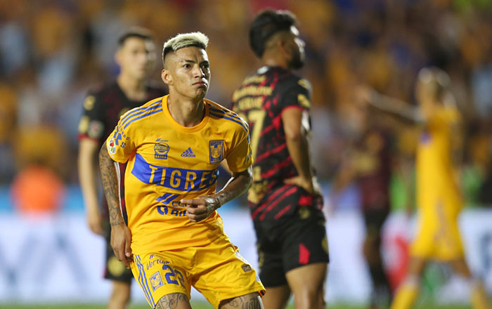 Tigres logra su segunda victoria; gana a Xolos 1-0 7 ful