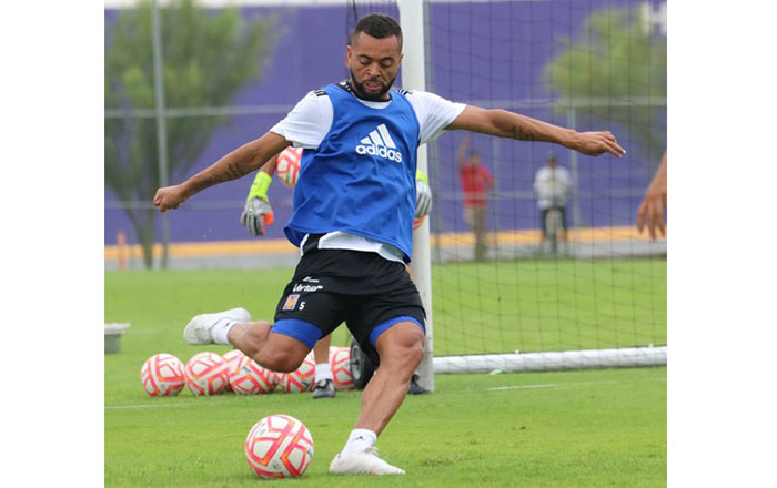 Tigres a darle vuelta a la página 1 go