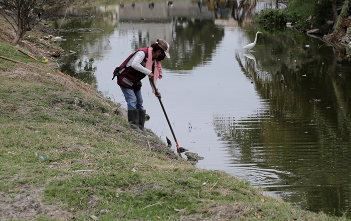 Realizan labores de limpieza en drenes pluviales de Ciudad Madero 1 01 1 4