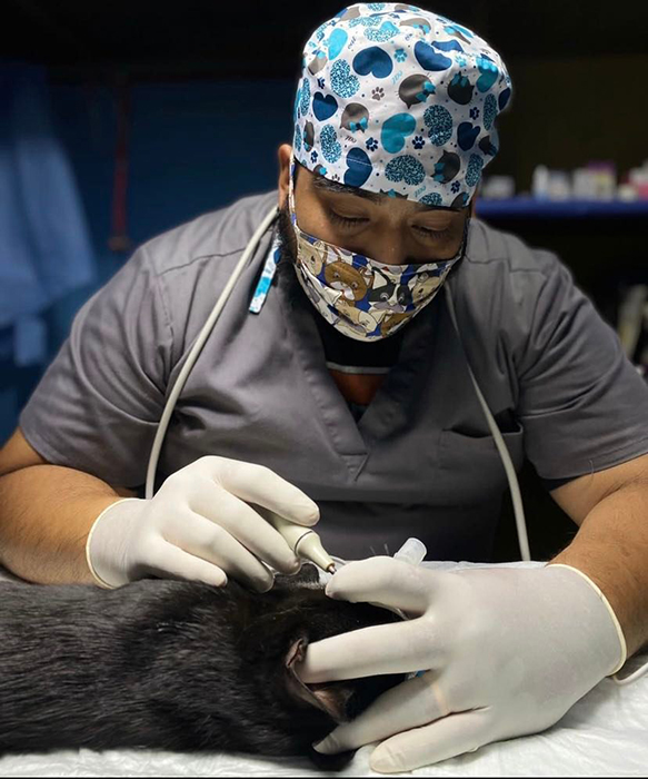 Veterinarios mexicanos conmemoran su día 1 299666825 653266682524904 8461129269459599675 n