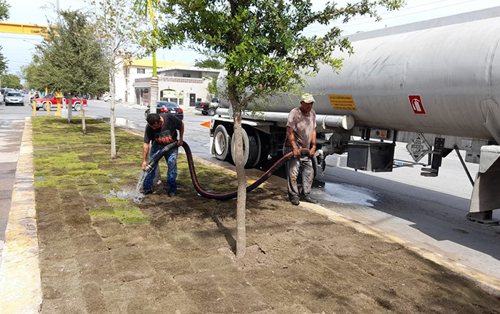 Reforestan avenidas en Río Bravo 2 300195826 1205724203602991 7247874565856972386 n