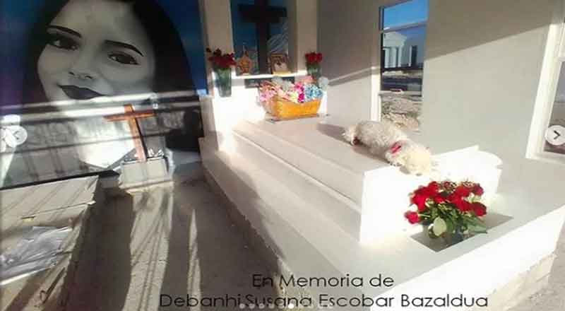 La perrita 'Bombona' luce triste sobre tumba de su dueña Debanhi Escobar 1 DEBANHI