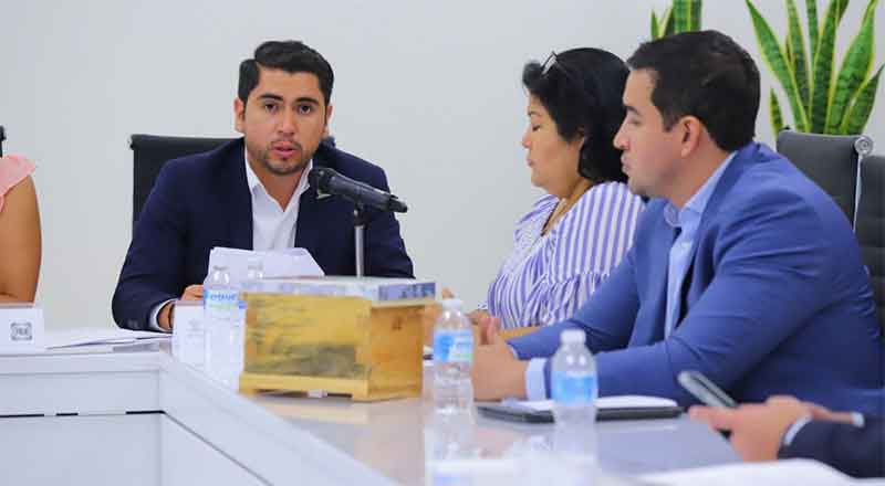 Exhortan a gobiernos a destinar recursos para preservación de las abejas 1 DIPUTADO