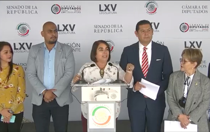 Grupo Parlamentario de Morena
