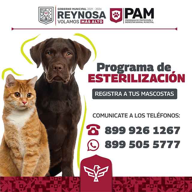 Invita alcalde Carlos Peña a programa de esterilización de mascotas 1 MASCOTAS