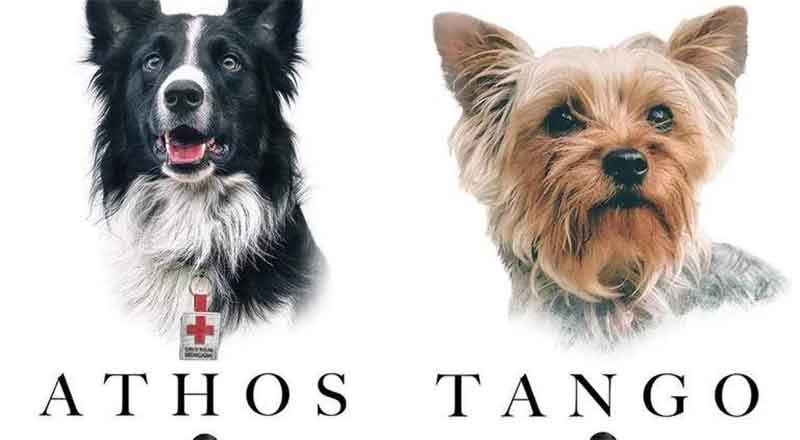 TANGO