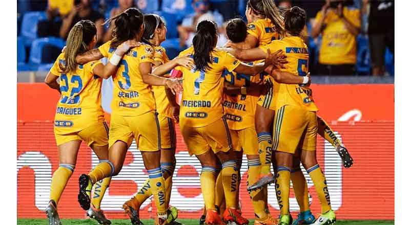 TIGRES-FEM