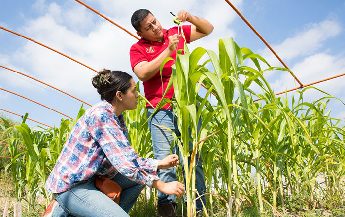 Reacreditan ingenierías en Agronomía de la UANL 2 ag