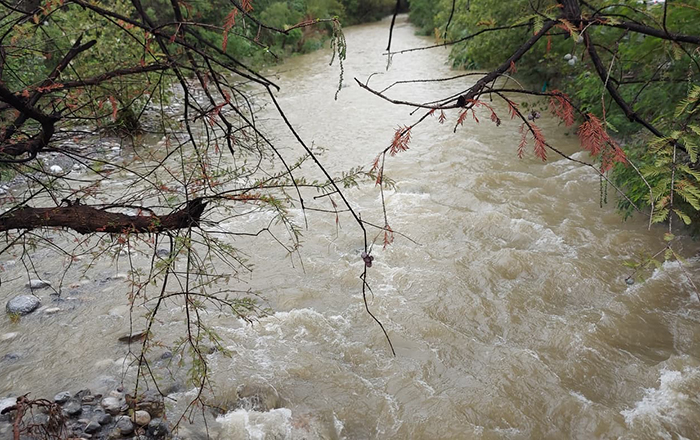 Lluvias crecen afluente del río La Silla 1 286838291 638575324256568 8292444031766034627 n