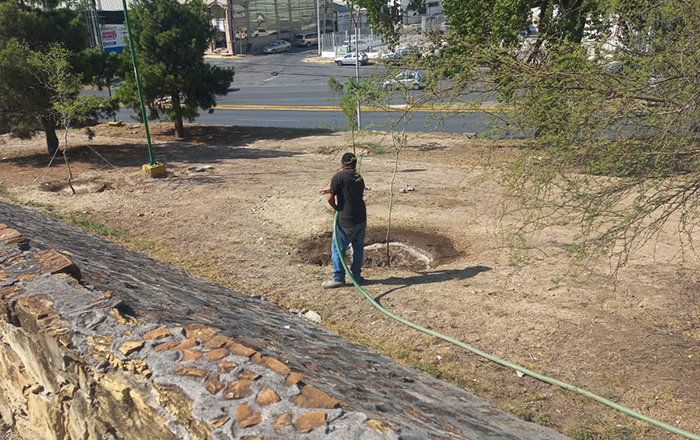 Se unen Monterrey y sector privado para riego de árboles en la ciudad 2 302527762 1045095236160607 6030124523953198870 n