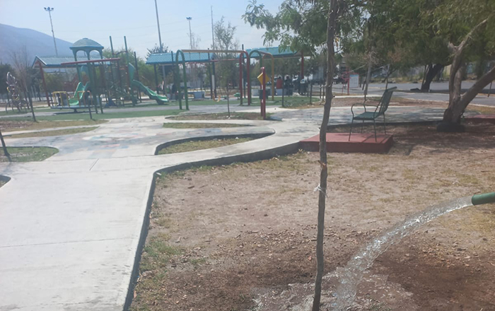 Se unen Monterrey y sector privado para riego de árboles en la ciudad 1 303653172 5335925413195328 8419346476950976058 n