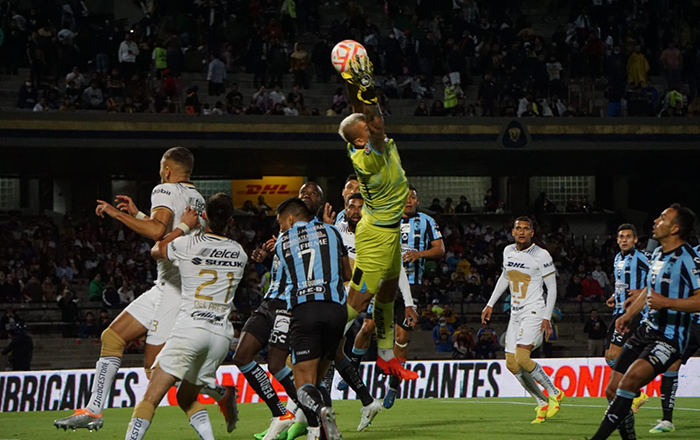 ‘Despluman’ a los Gallos a lo grande 2 305295952 644957280294481 7812000598811524928 n