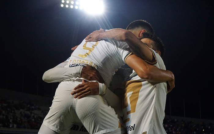 ‘Despluman’ a los Gallos a lo grande 1 305378647 1066163534269323 5793740464824127960 n