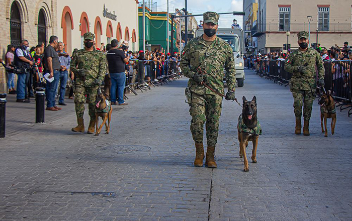Familias disfrutan de desfile militar organizado por el Gobierno de Matamoros 1 305586259 834433880893453 6044027884331444513 n