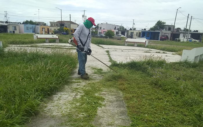 Dan mantenimiento a áreas verdes en Río Bravo 1 305773282 593108649070828 3391572499082929754 n