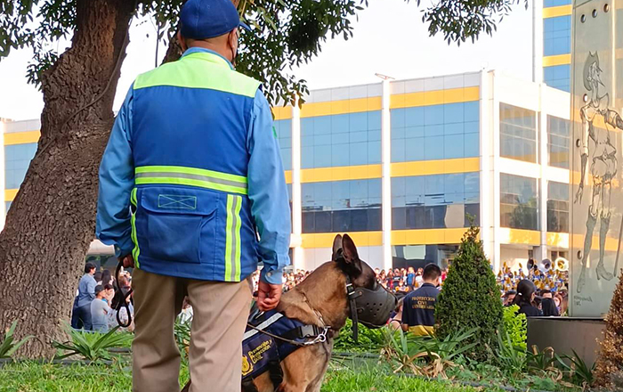 Celebra la UANL 89 años de su fundación 3 307302821 5390405301007930 5589868491243613351 n