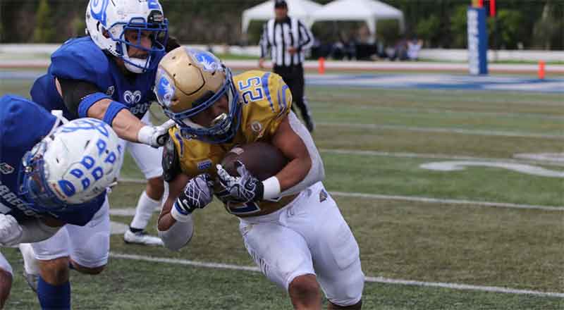 AUTENTICOS-TIGRES-3