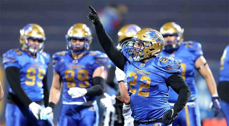 Auténticos Tigres van por rugido inédito 1 AUTENTICOS TIGRES