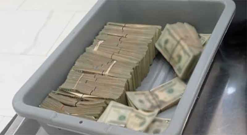 DOLARES