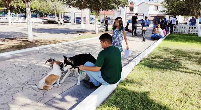 Realizan campaña a favor de mascotas vulnerables en Río Bravo 1 MASCOTAS 2