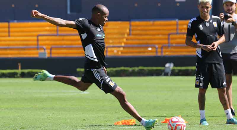 TIGRES-6