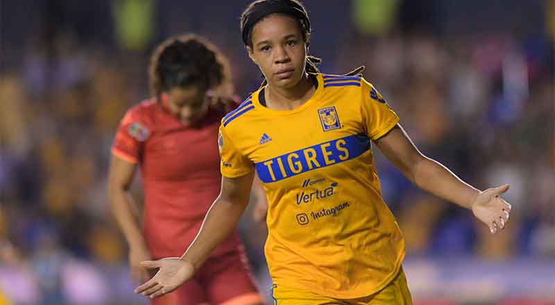 TIGRES-7