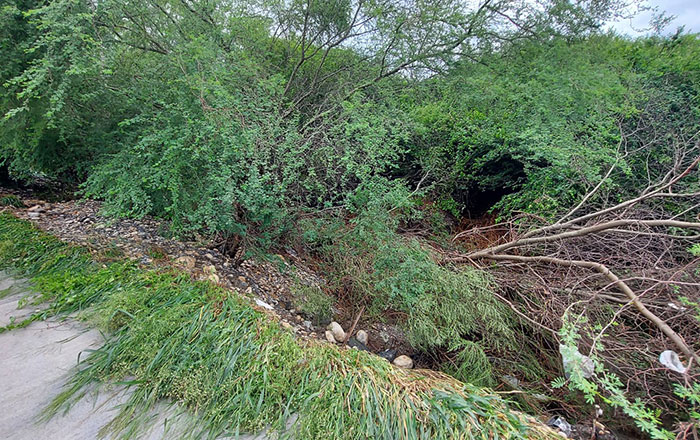Se crece río Santa Catarina a la altura de Juárez 3 ca
