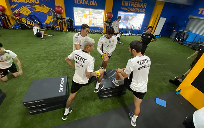 Entrena Tigres bajo techo 5 ter