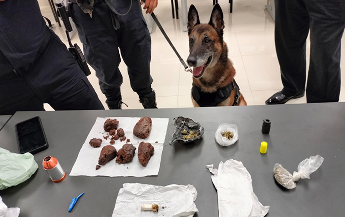 Intensifica Policía de Monterrey Operativos en Planteles Educativos 1 2 1
