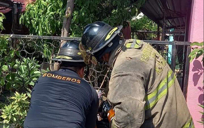 Bomberos de Reynosa liberan a perrito de una reja 1 312465749 1059981768000214 8802290084869933188 n