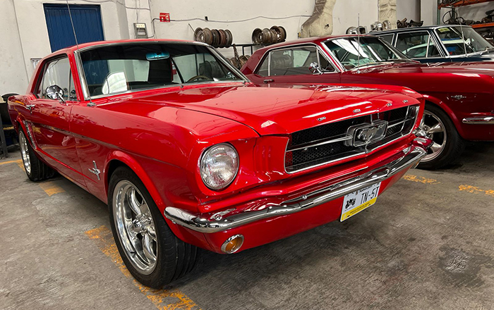 Con Mustang Show Adelantan la Navidad a los amantes de este auto 2 312899694 469022735294057 1986999305944562009 n