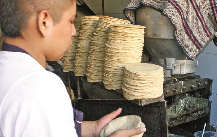 633da6444fc71yytortilla