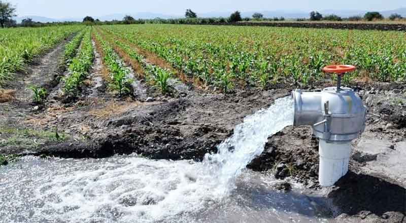 AGUA-CAMPO