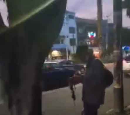 Denuncian a hombre que come gatos en CDMX 1 COME GATOS 2