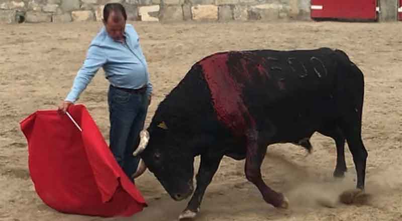 Eloy a sus 73 años no olvida el arte del capote 1 ELOY CAVAZOS 2