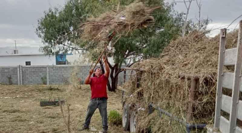 Realiza Municipio de Reynosa intensa jornada de saneamiento 1 REYNOSA 2 4