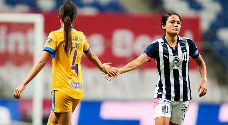 TIGRES-FEM
