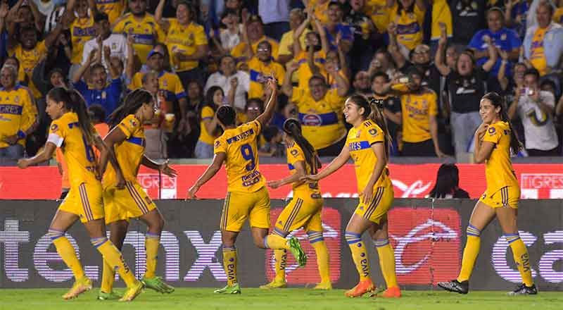 TIGRES-FEM-2