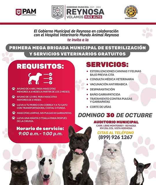 Ofrecen en Reynosa esterilización gratuita para perros y gatos 1 cartel 4
