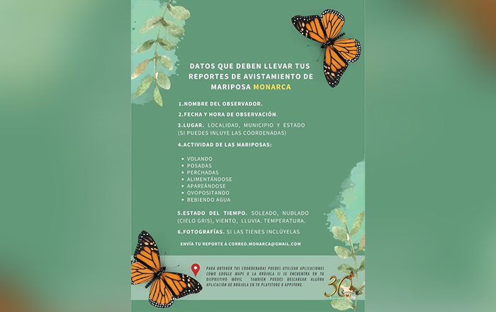 mariposa
